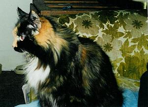 queennoelof58.jpg